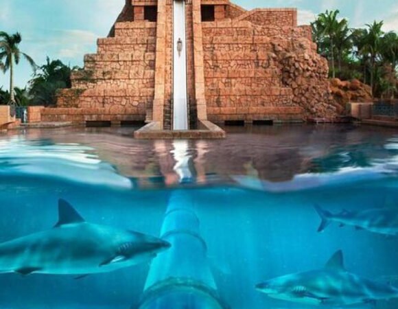 Atlantis Aquaventure Waterpark